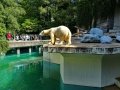 Zoo Wuppertal - Eisbärgehege