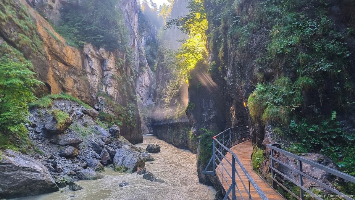 Aareschlucht Lichtspiel