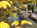 Wasserrad am Schwallech
