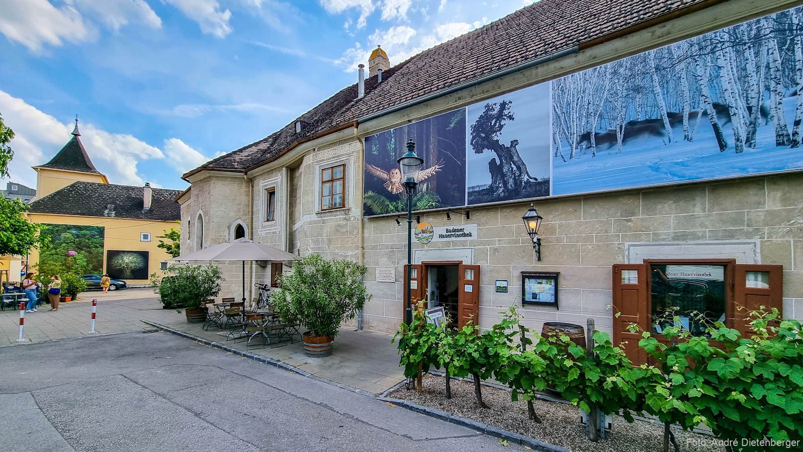 Heiligenkreuzerhof / Hauervinothek