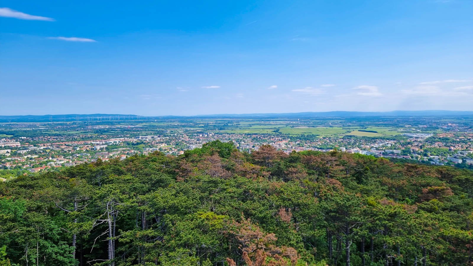 Aussicht von der Theresienwarte