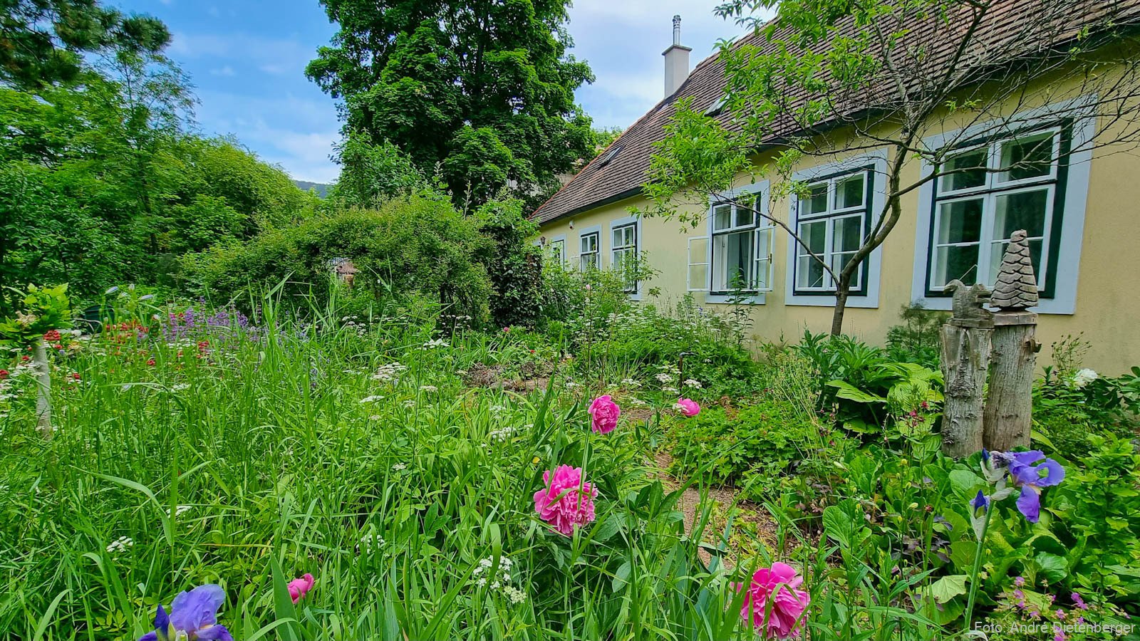 Idylle in der Stadt