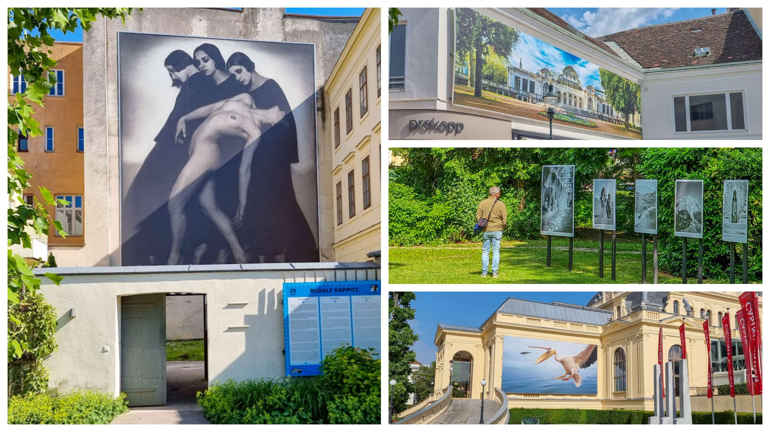 Festival La Gacilly-Baden Photo