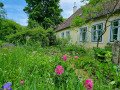 Idylle in der Stadt