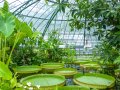 Botanischer Garten der Universität Basel