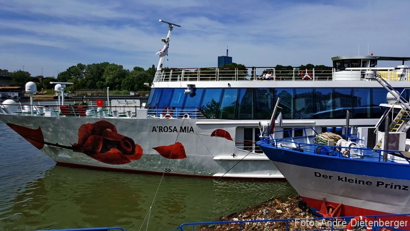 Belgrad - Flußkreuzfahrt Arosa Mia