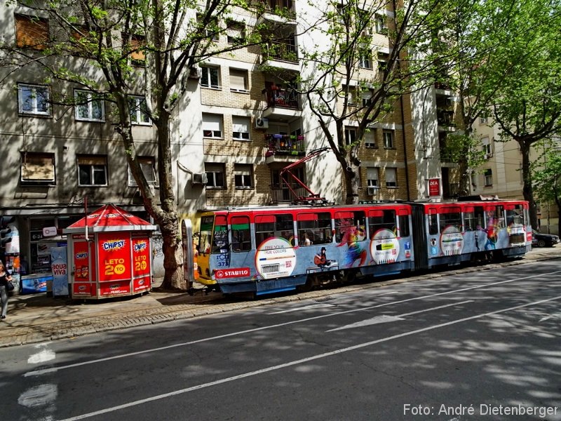 Belgrad - Straßenbahn unterwegs