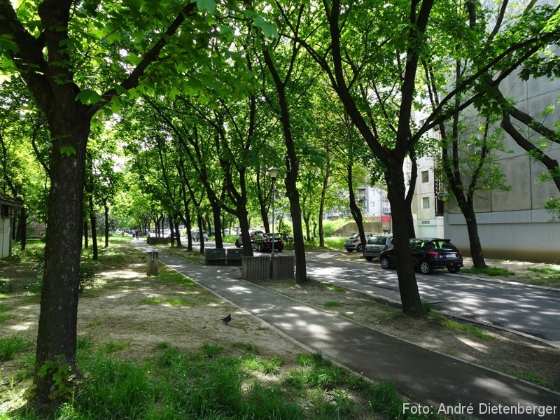 Belgrad - Wohnsiedlung in Novo Beograd