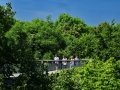 Nationalpark Hainich - Baumkronenpfad