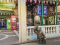Europa-Park Themenbereich England - Paddington Bear