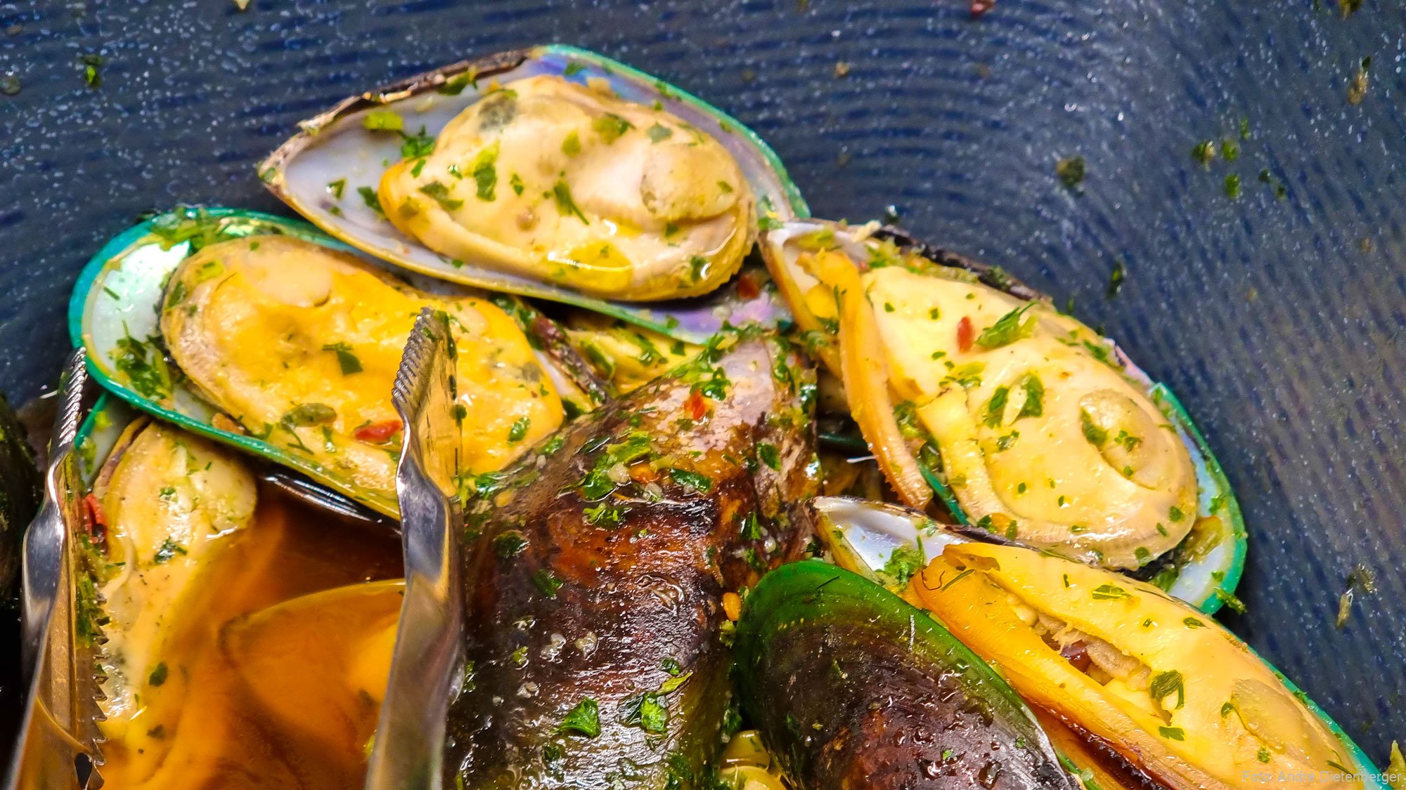 Grünschalenmuscheln