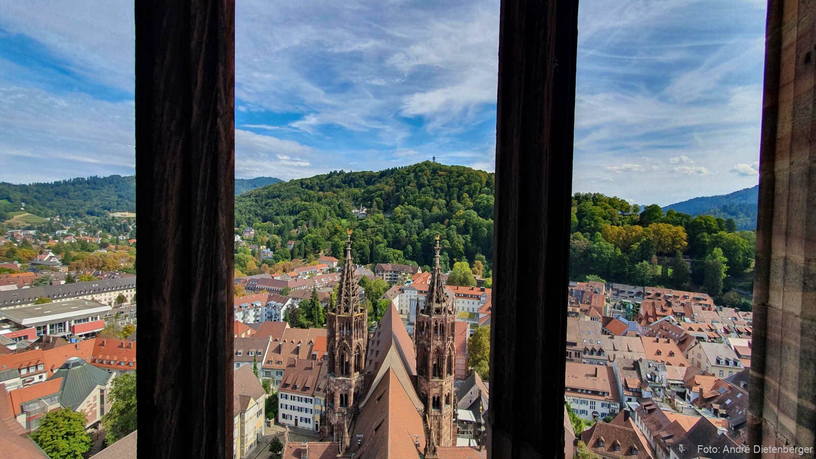 Blick vom Münster