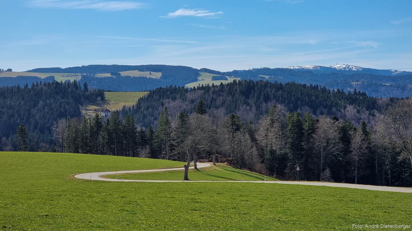 Schwarzwald