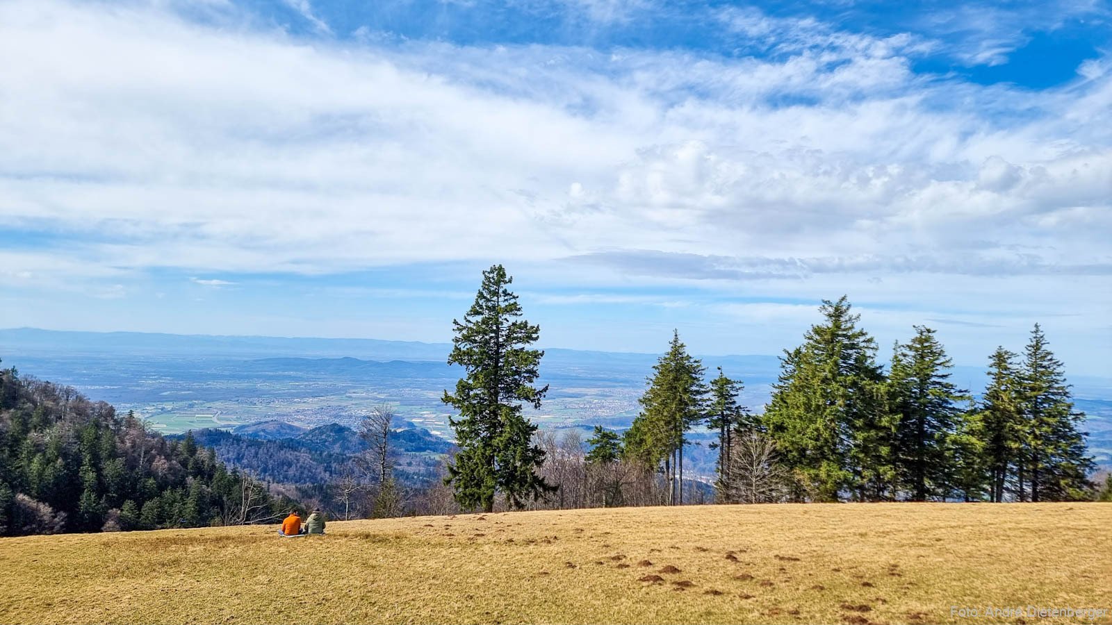 Blick vom Kandel in die Vogesen