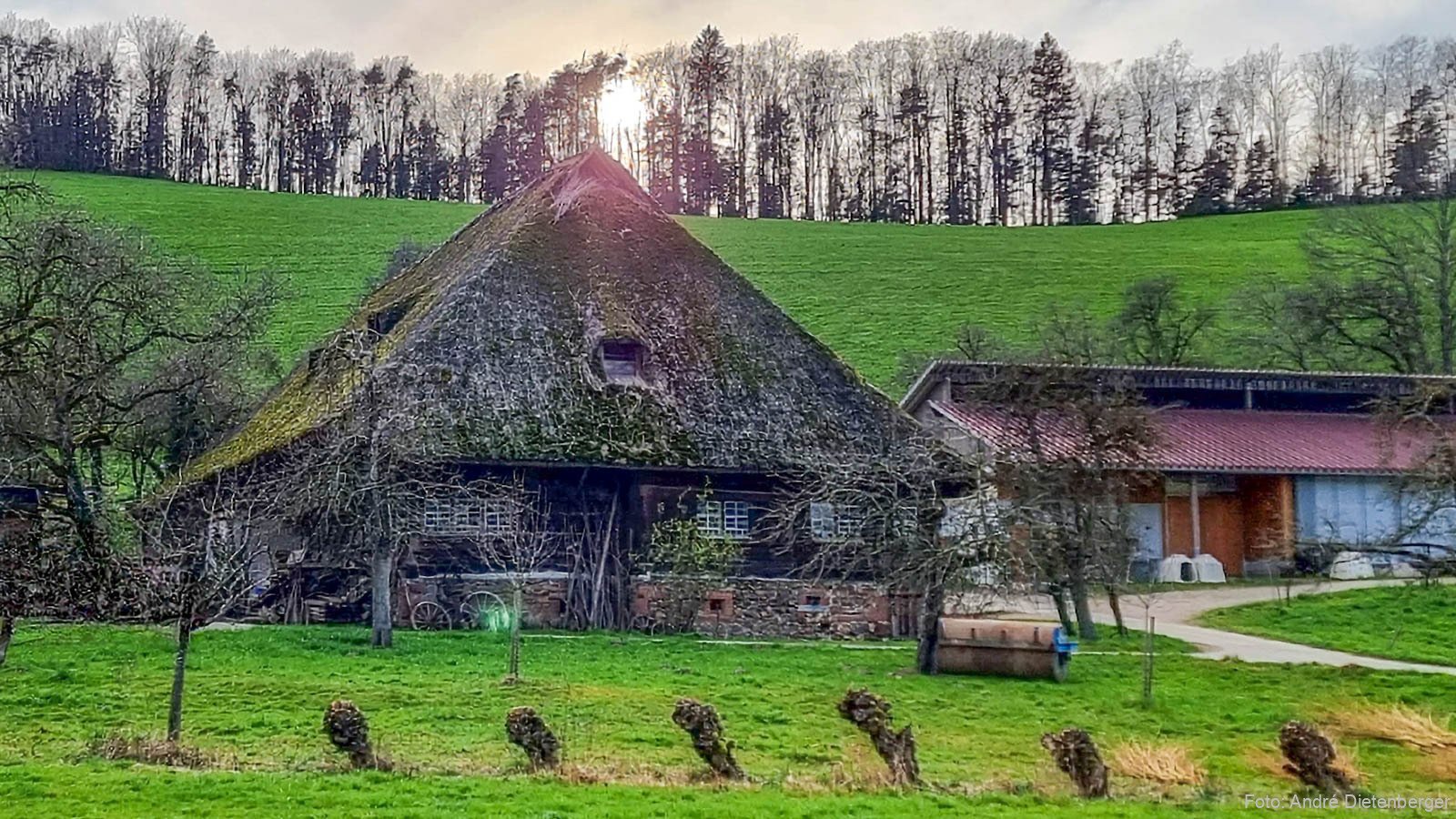 Flammhof (1713) im Glottertal