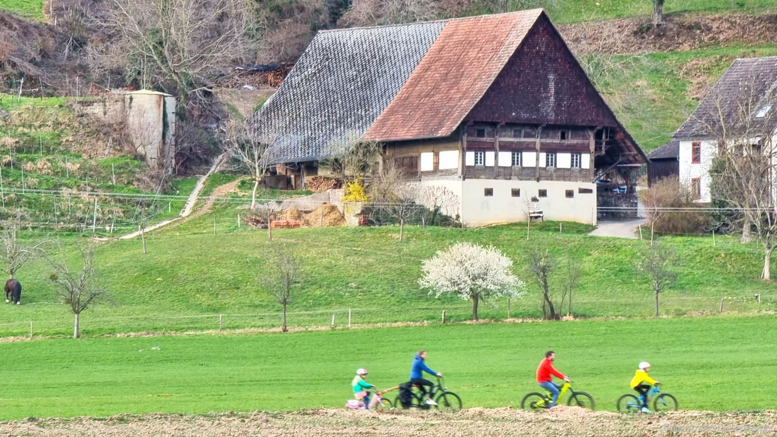Radfahren im Glottertal