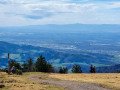 Wandern auf dem Kandel