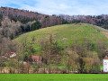 Weinberg im Glottertal
