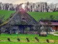 Flammhof (1713) im Glottertal
