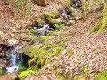 Bachlauf