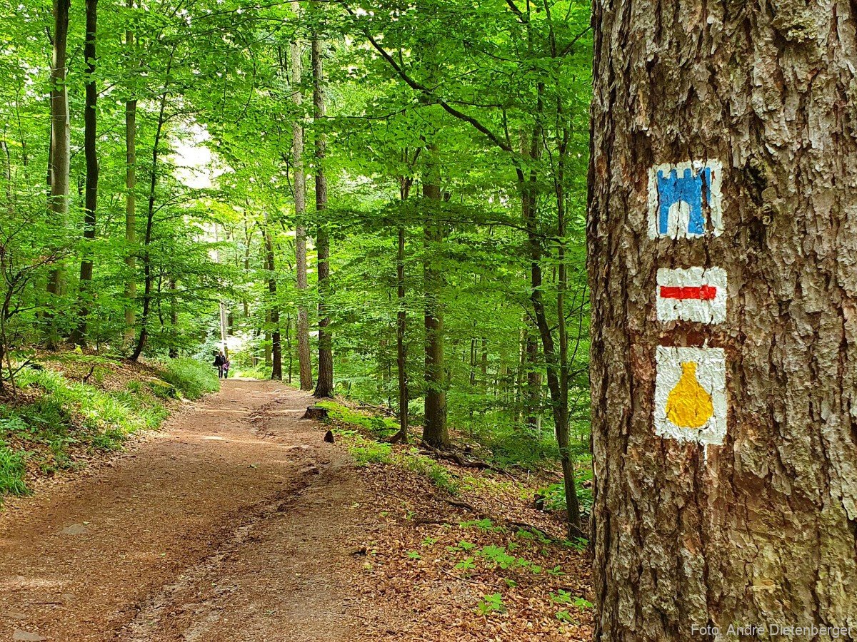 Wandern auf dem Heiligenberg Heidelberg