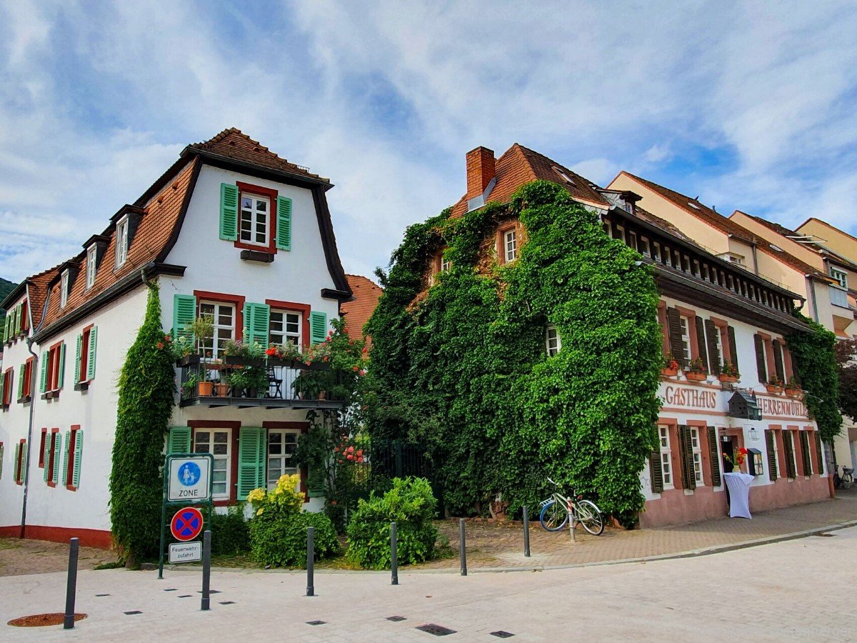 Rathaus und Schloss Heidelberg