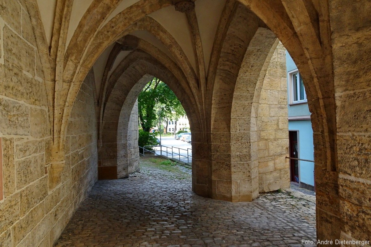 Ara - Sieben Wunder von Jena