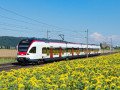 Flirt Regionalbahn (c) SBB