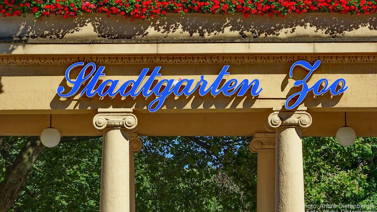 Stadtgarten Zoo