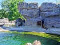 Zoologischer Stadtgarten