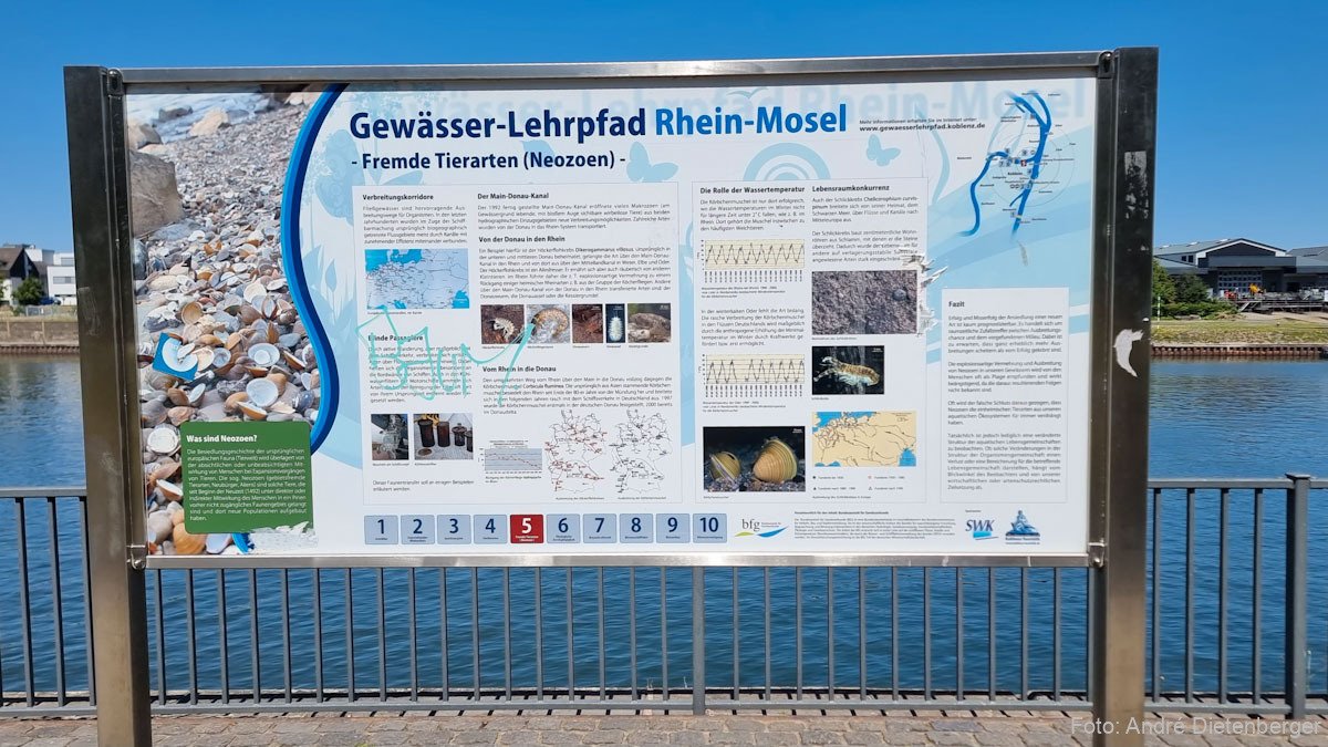 Gewässer-Lehrpfad Rhein-Mosel