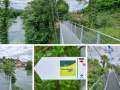 \"Laufenburger ACHT\" - Stege