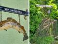 Salmen und Reuse