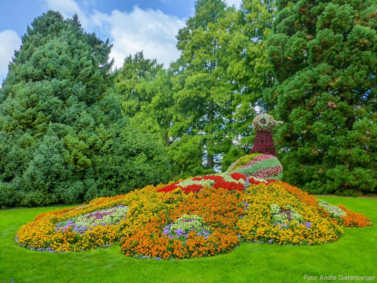Mainau - Blumen Meer