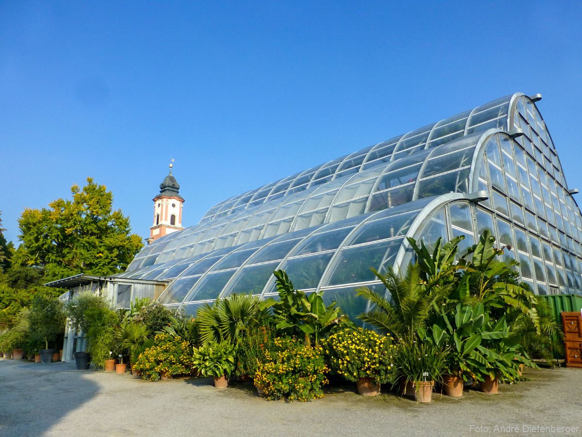 Mainau - Palmenhaus