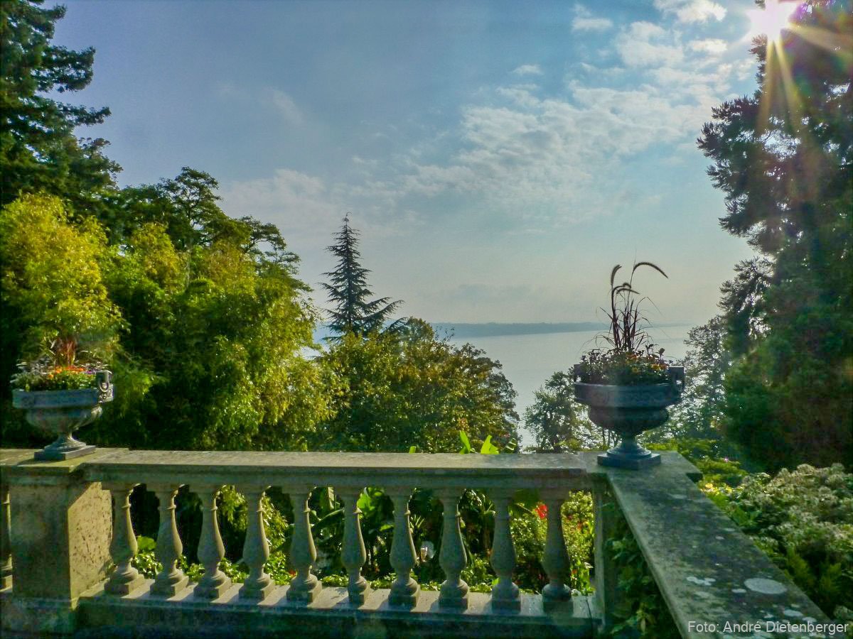 Mainau - Ausblick auf den See