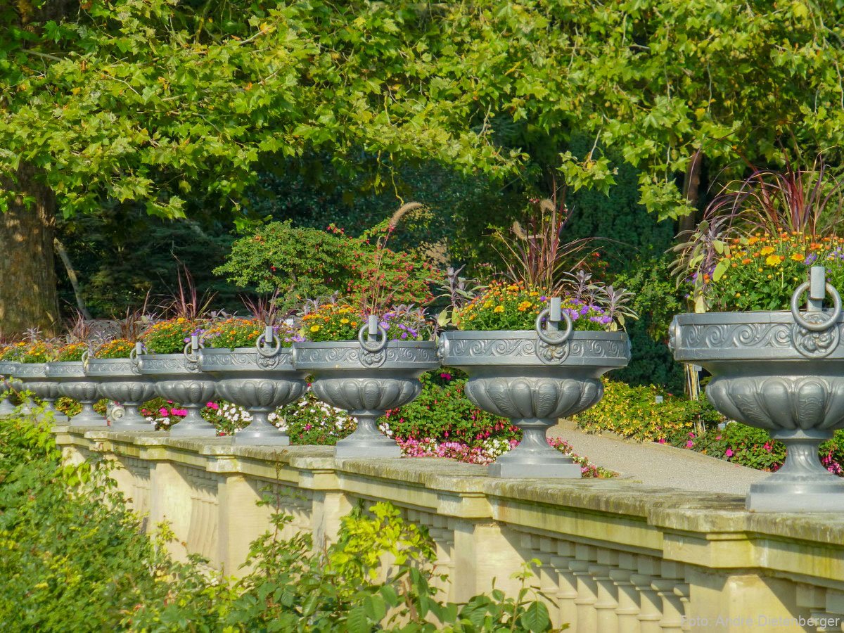 Mainau - Garten