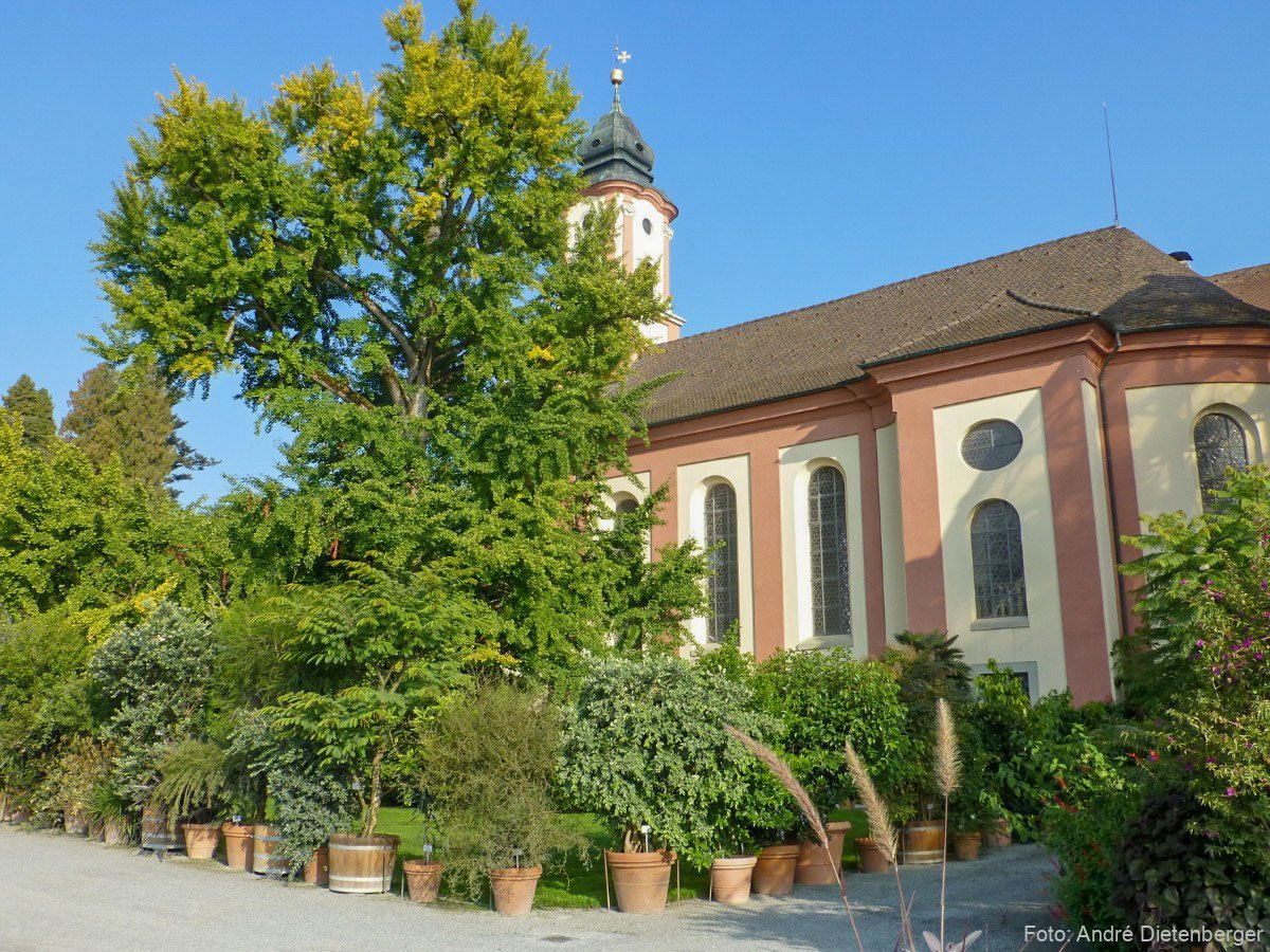 Mainau - St. Marien