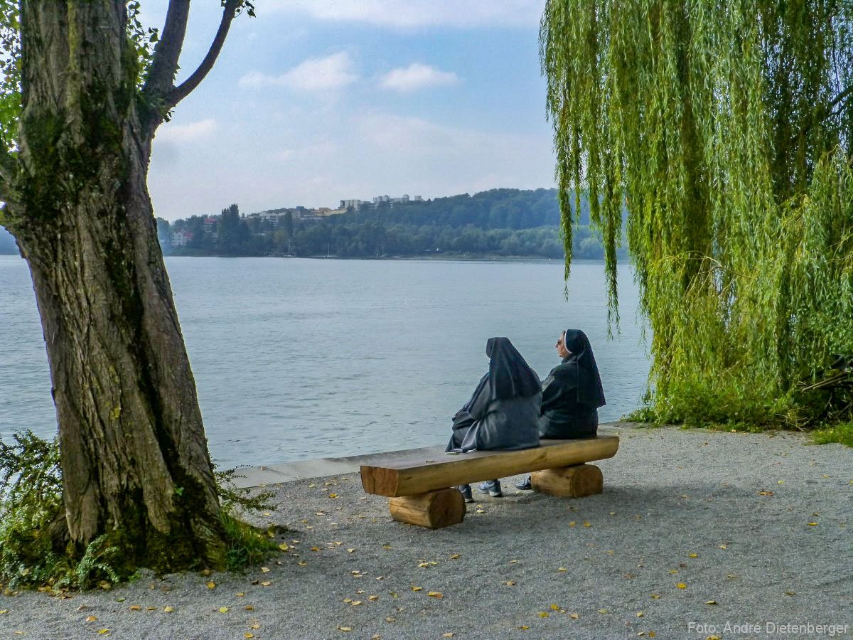Mainau - Bank mit Aussicht