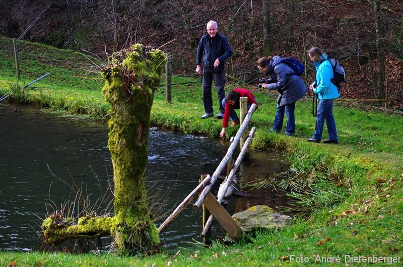 Oberharmersbach Wanderung