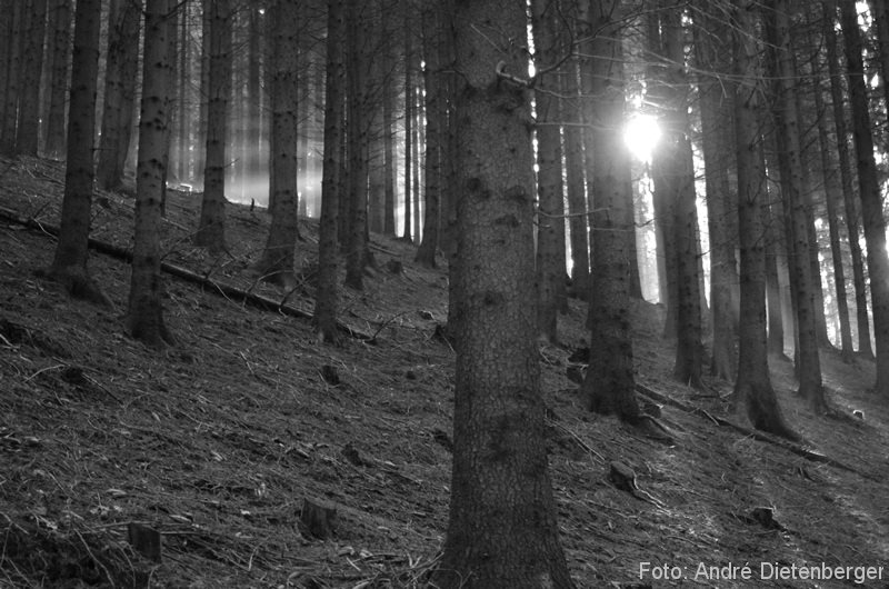 Oberharmersbach Wanderung