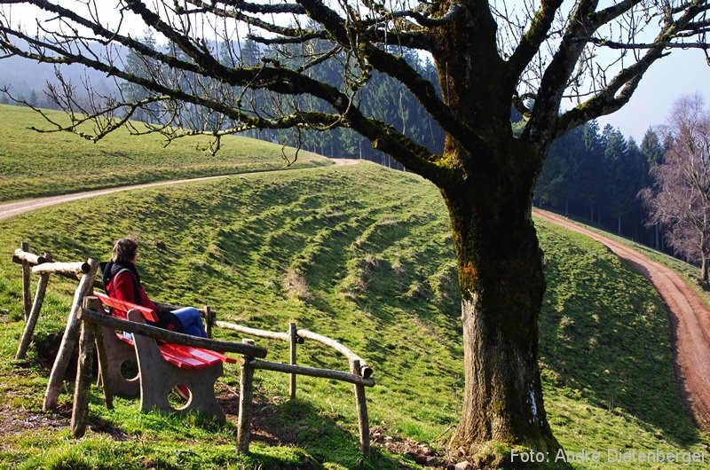 Oberharmersbach Wanderung