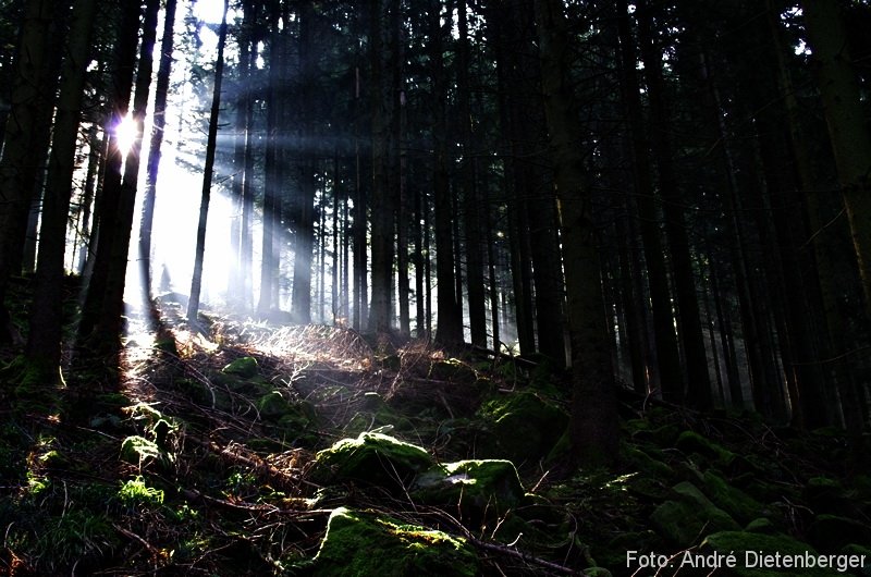 Oberharmersbach Wanderung