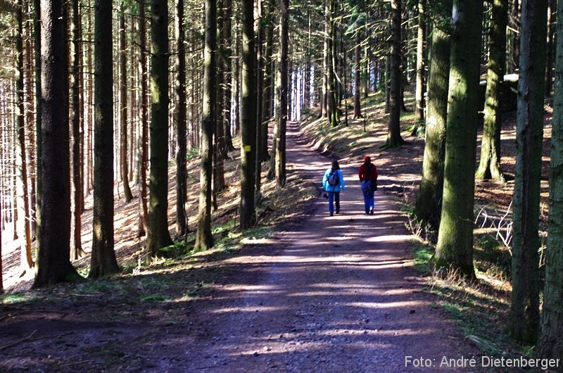 Oberharmersbach Wanderung