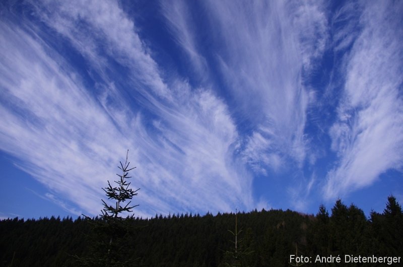 Oberharmersbach Wanderung