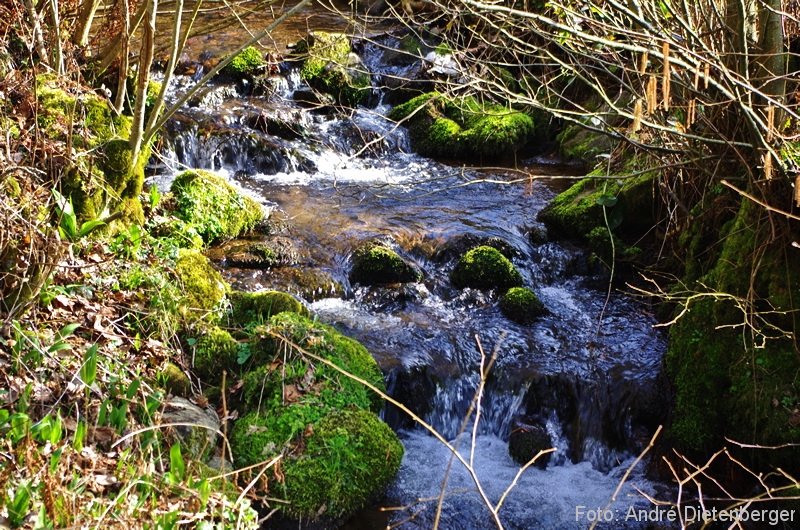 Oberharmersbach Wanderung