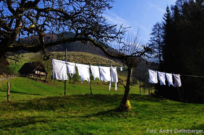 Oberharmersbach Wanderung