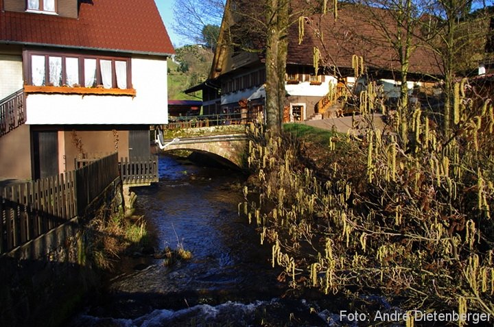 Oberharmersbach Wanderung