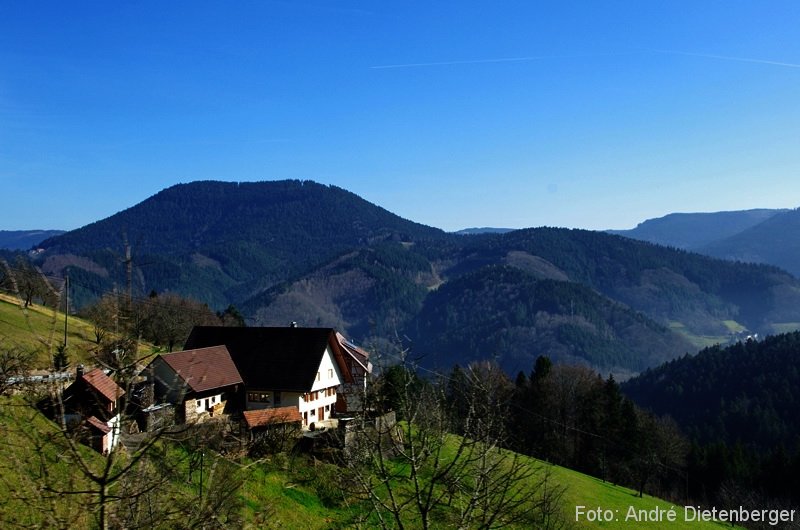 Oberharmersbach Wanderung