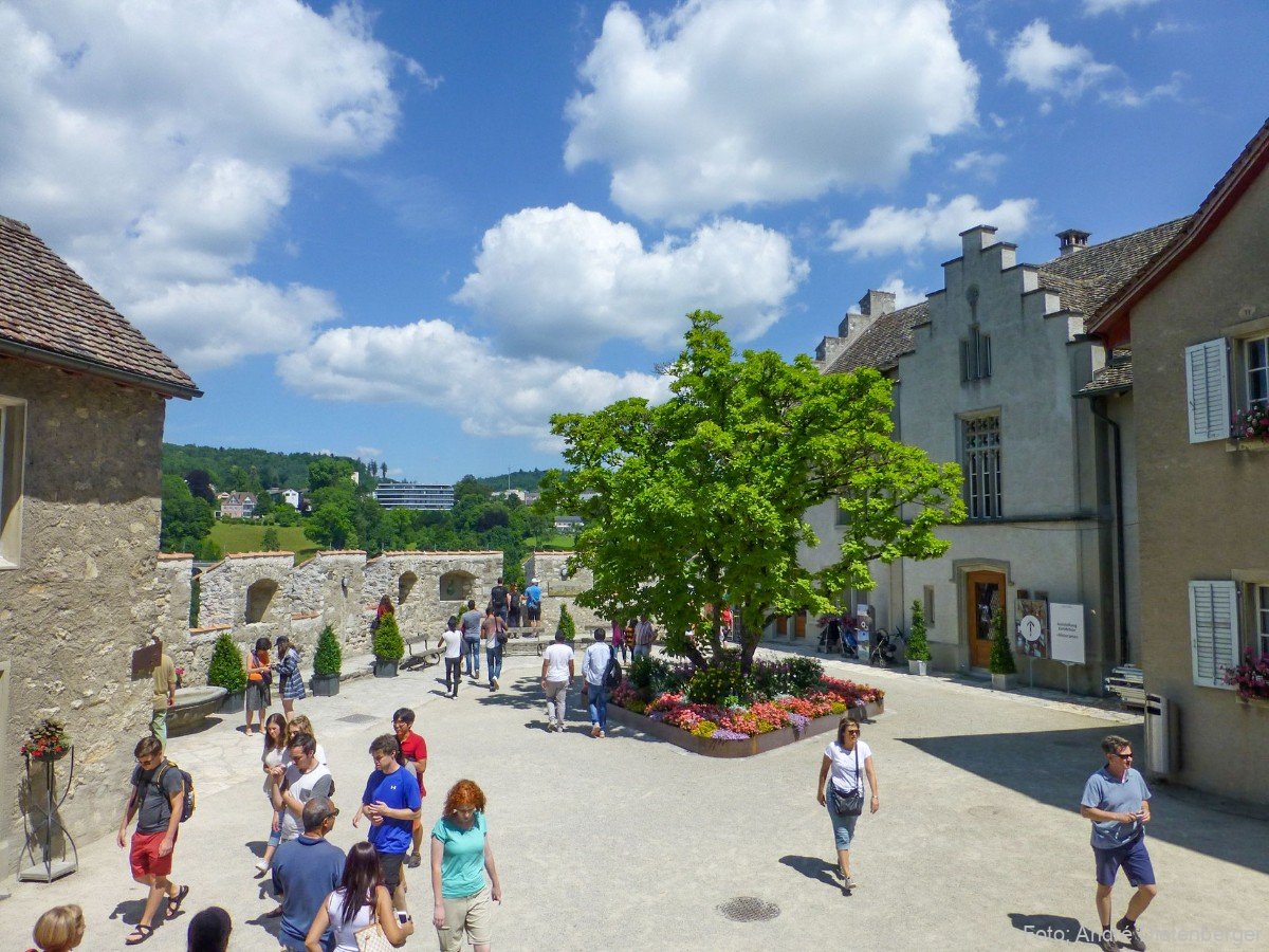 Rheinfall - Hof Schloss Laufen